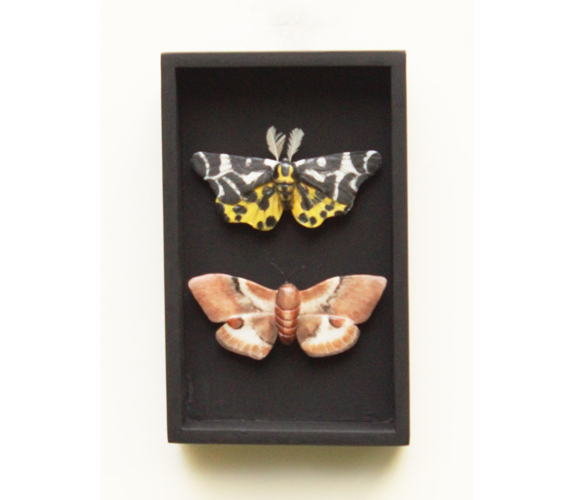 "Tiger Moth Duo" - Loralin Toney